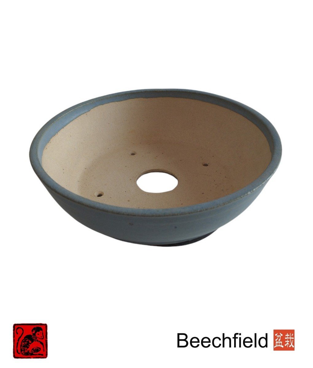 BB-SMONKEY-004 Stone Monkey 215mm Pot Blue Beechfield Bonsai