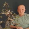 Nacho Salar Bonsai Courses Beechfield Bonsai