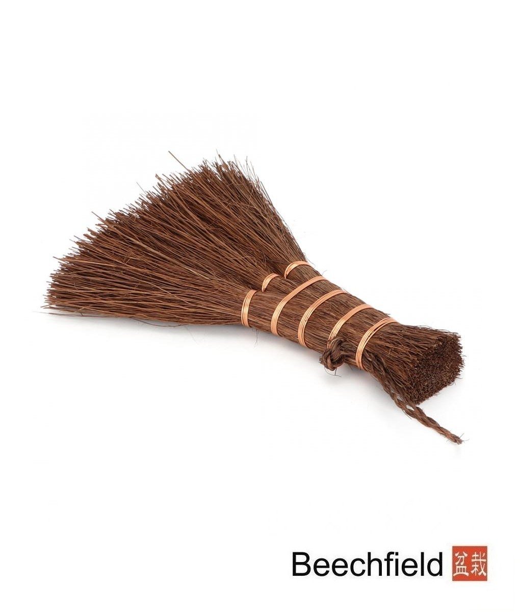 BB-COIR-BRUSH-150mm Bonsai Coir Brush 150mm Beechfield Bonsai