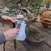 BB-BONSAI-PRESSURE-WASHER Deadwood Cleaning Pots Beechfield Bonsai