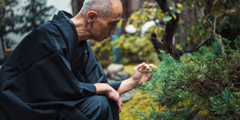 The Origins of Bonsai, China Penjing, The Path of Bonsai, Beechfield Bonsai