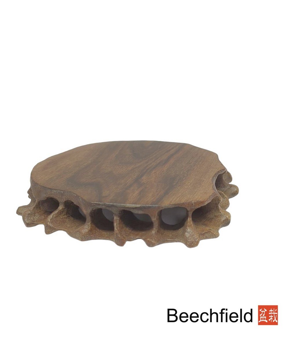 Bonsai Root Table