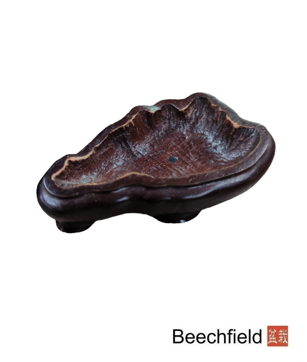 Suiseki Stone - Hut - Image 3