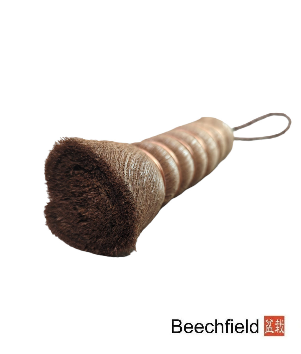 BB-COIR-POT-BRUSH Coir Bonsai Pot Cleaning Brush Beechfield Bonsai